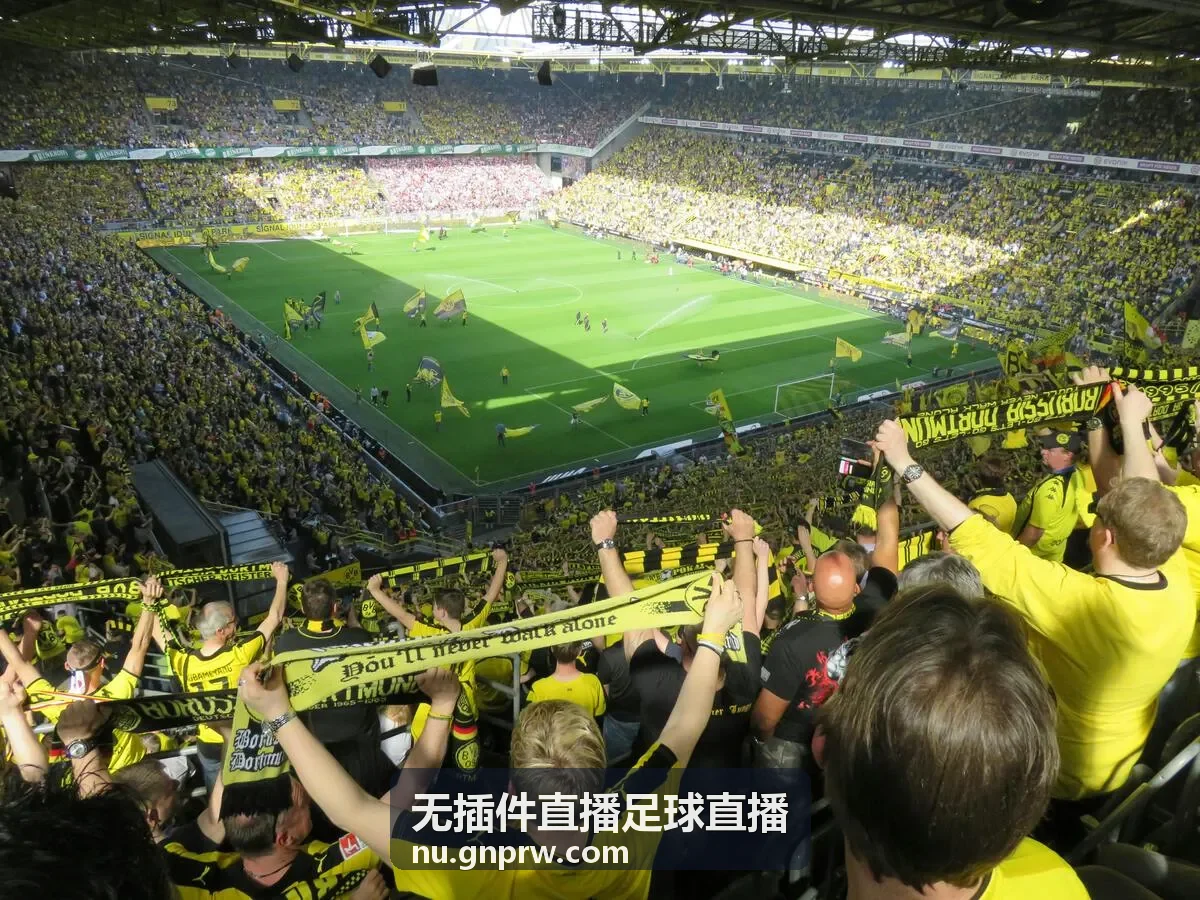 中国队乒乓球比赛视频直播